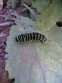 060607_1624`01.JPG