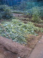 060607_1630`01.JPG