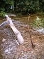 060716_1128`01.JPG