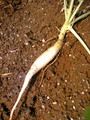 060806_1012`01.JPG